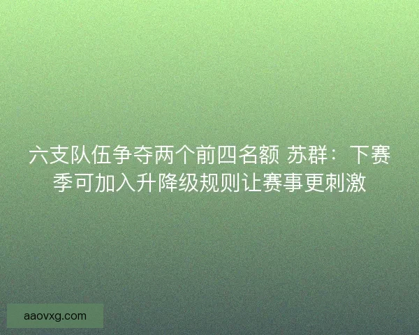 六支队伍争夺两个前四名额 苏群：下赛季可加入升降级规则让赛事更刺激