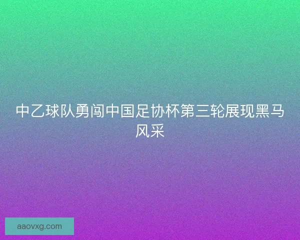中乙球队勇闯中国足协杯第三轮展现黑马风采